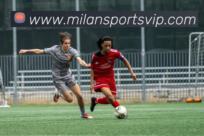 米兰体育平台生态图