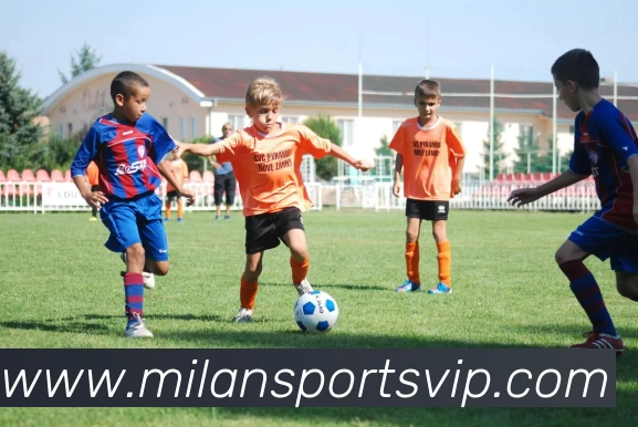 米兰体育APP 封面图